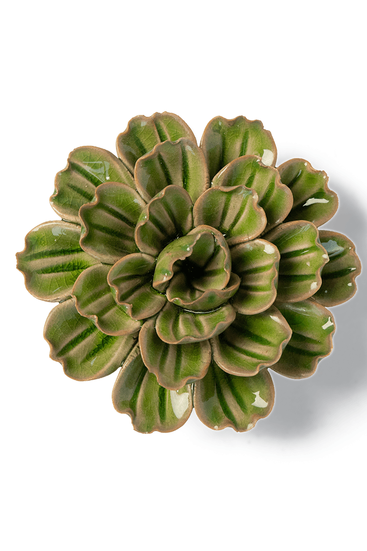 JA24 Avocado Green Petunia - Chive US Wholesale