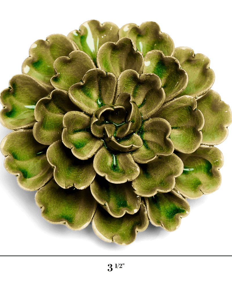 JA24 Avocado Green Petunia - Chive US Wholesale