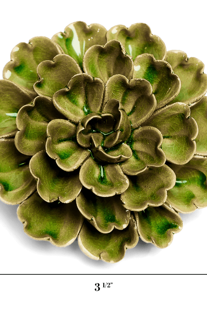 JA24 Avocado Green Petunia - Chive US Wholesale