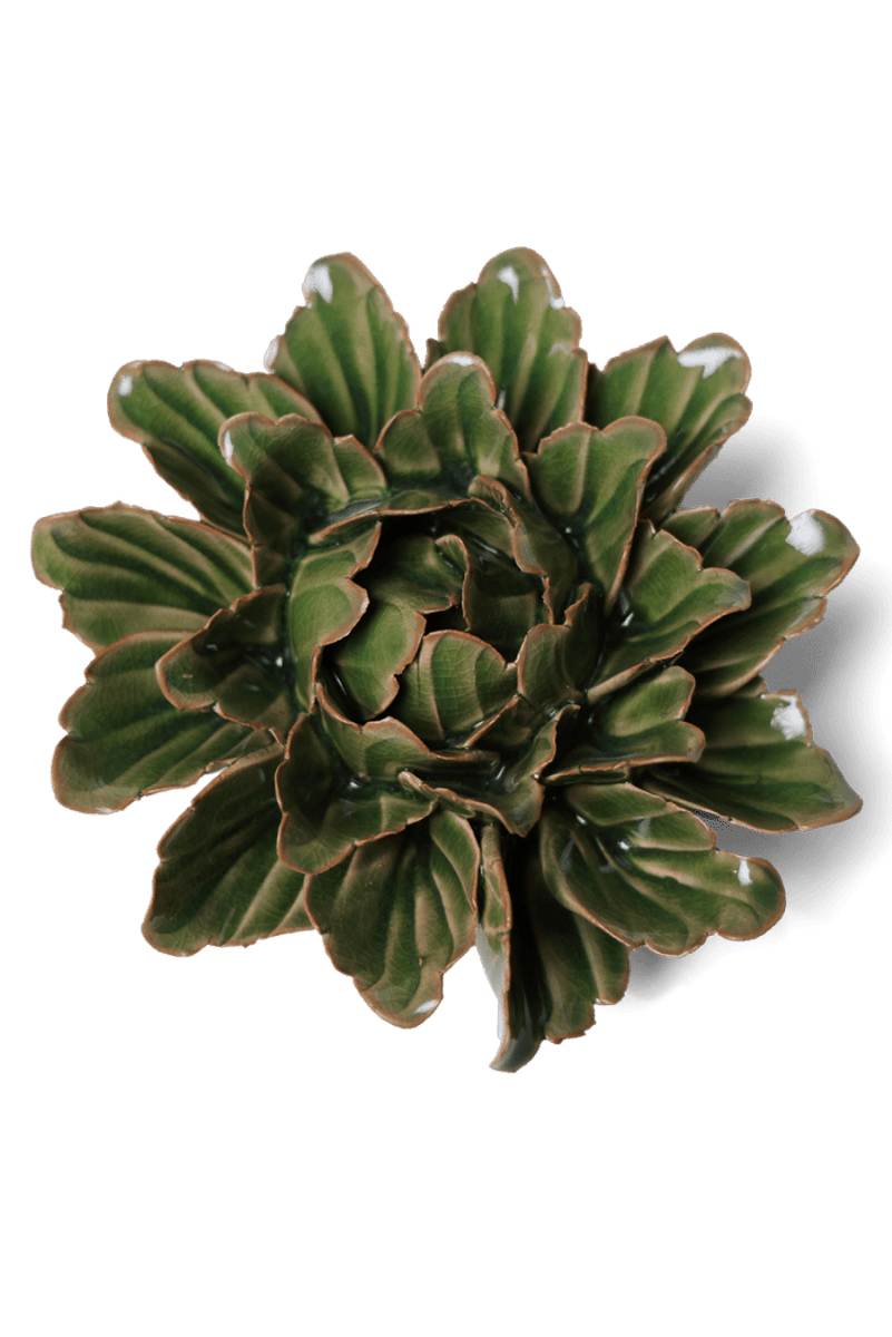 JA26 Avocado Green Sorbet Peony - Chive US Wholesale