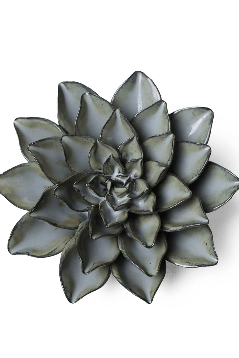 JA01 Grey Goyet Azalea - Chive US Wholesale
