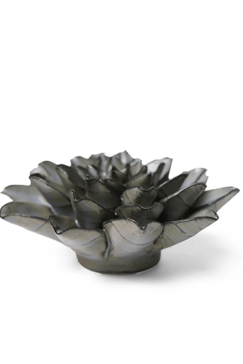 JA01 Grey Goyet Azalea - Chive US Wholesale