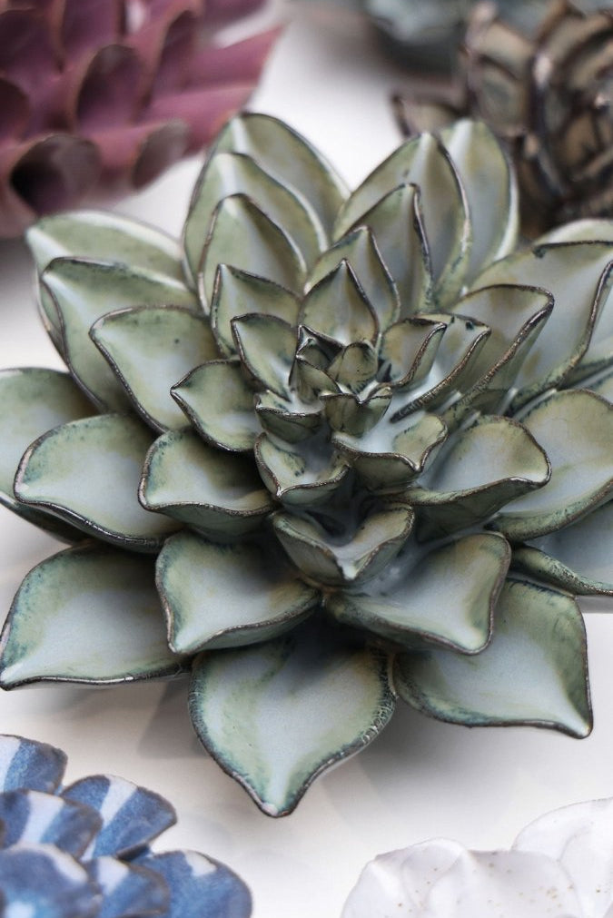 JA01 Grey Goyet Azalea - Chive US Wholesale