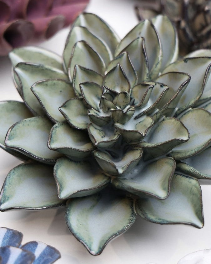 JA01 Grey Goyet Azalea - Chive US Wholesale