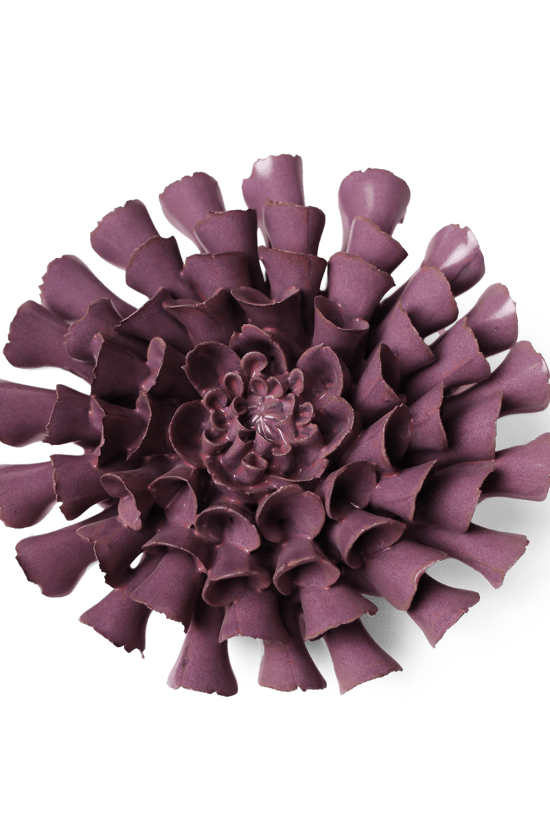 JA02 Violet Blue Cornel Dahlia - Chive US Wholesale