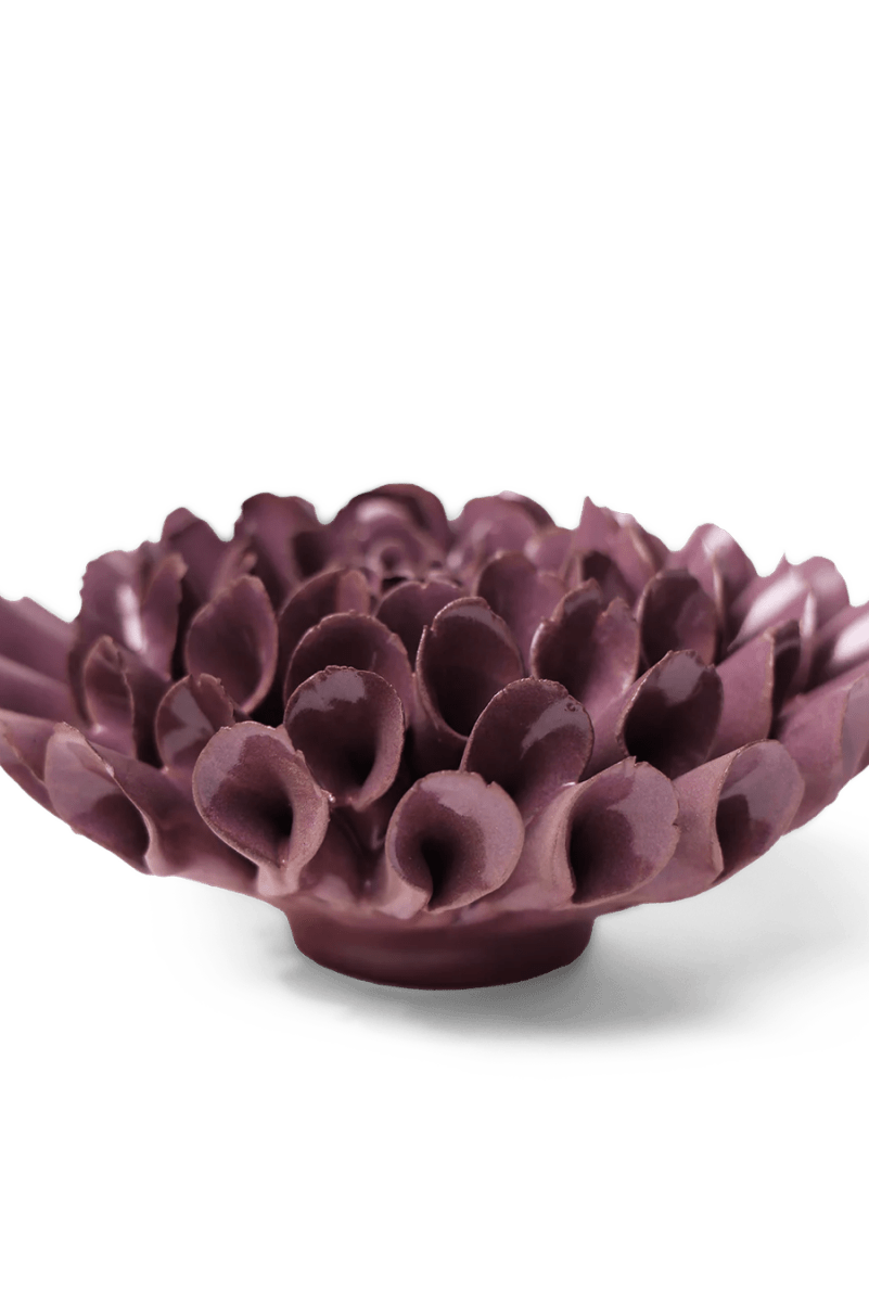 JA02 Violet Blue Cornel Dahlia - Chive US Wholesale