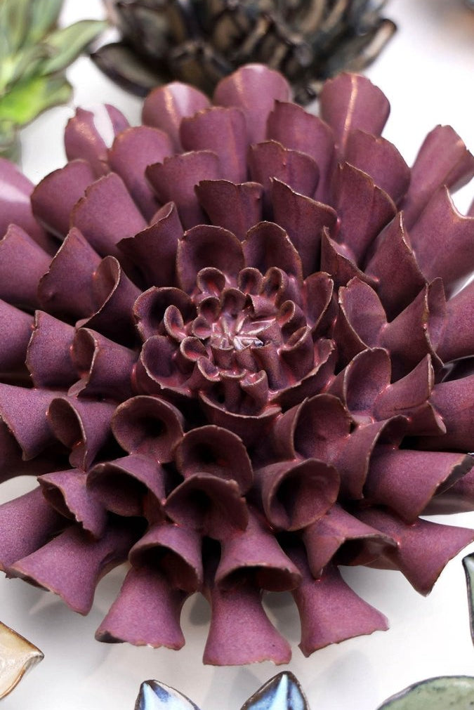 JA02 Violet Blue Cornel Dahlia - Chive US Wholesale