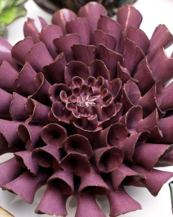 JA02 Violet Blue Cornel Dahlia - Chive US Wholesale