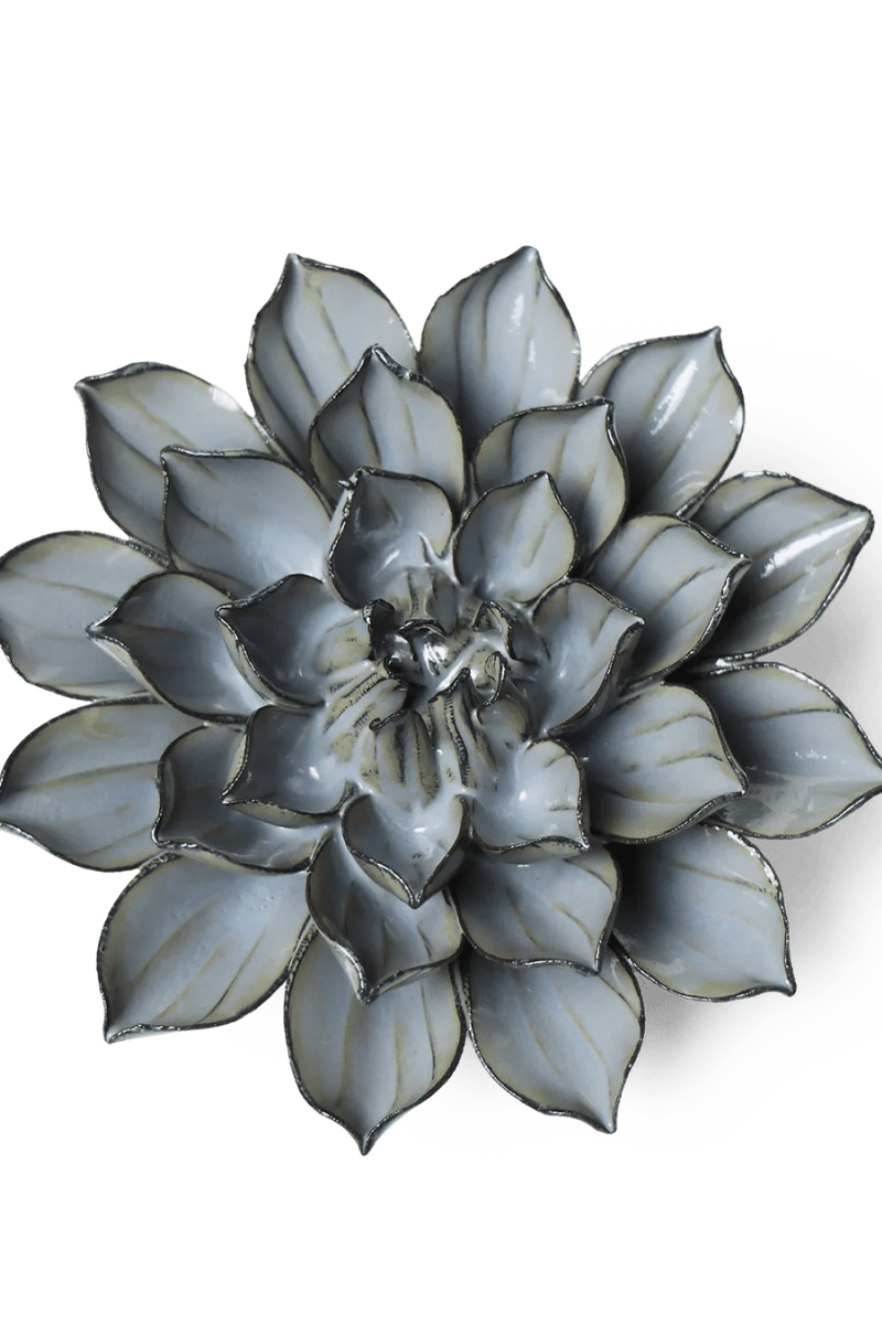 JA03 Grey Green Monch Aster - Chive US Wholesale