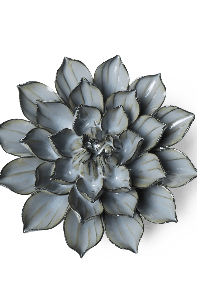 JA03 Grey Green Monch Aster - Chive US Wholesale