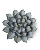 JA03 Grey Green Monch Aster - Chive US Wholesale