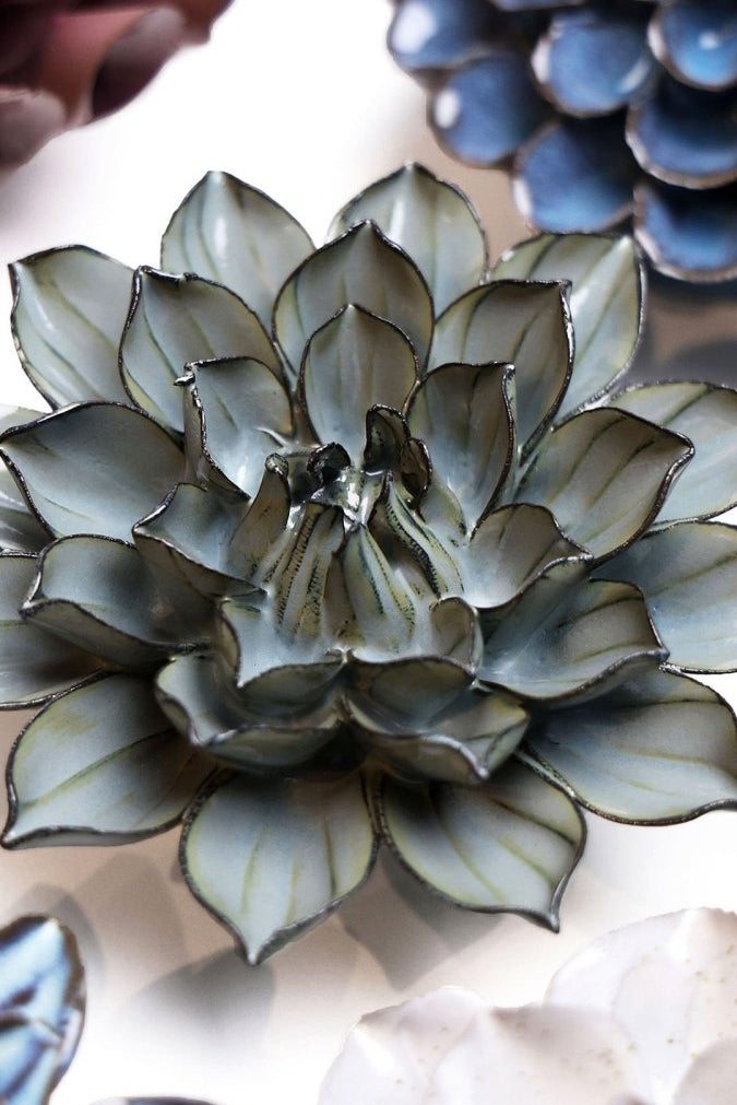 JA03 Grey Green Monch Aster - Chive US Wholesale