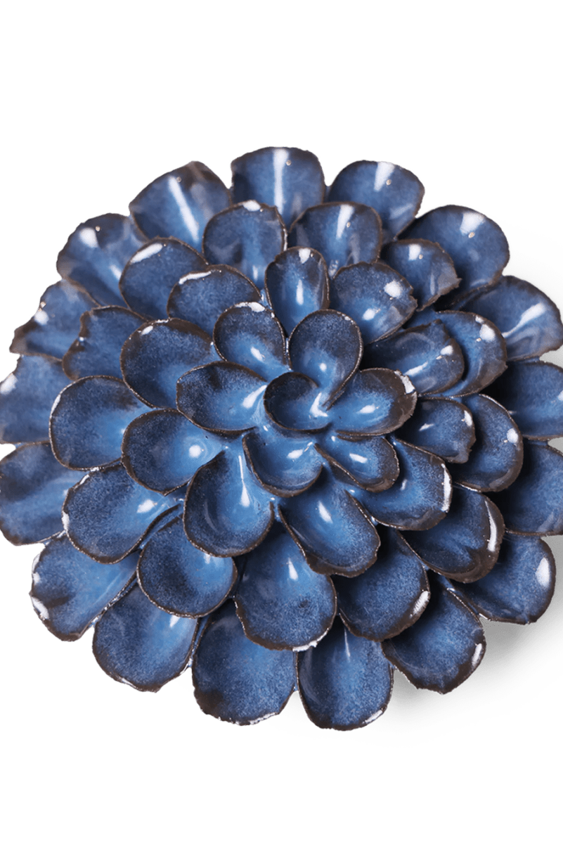 JA04 Blue Noir Pompon Dahlia - Chive US Wholesale