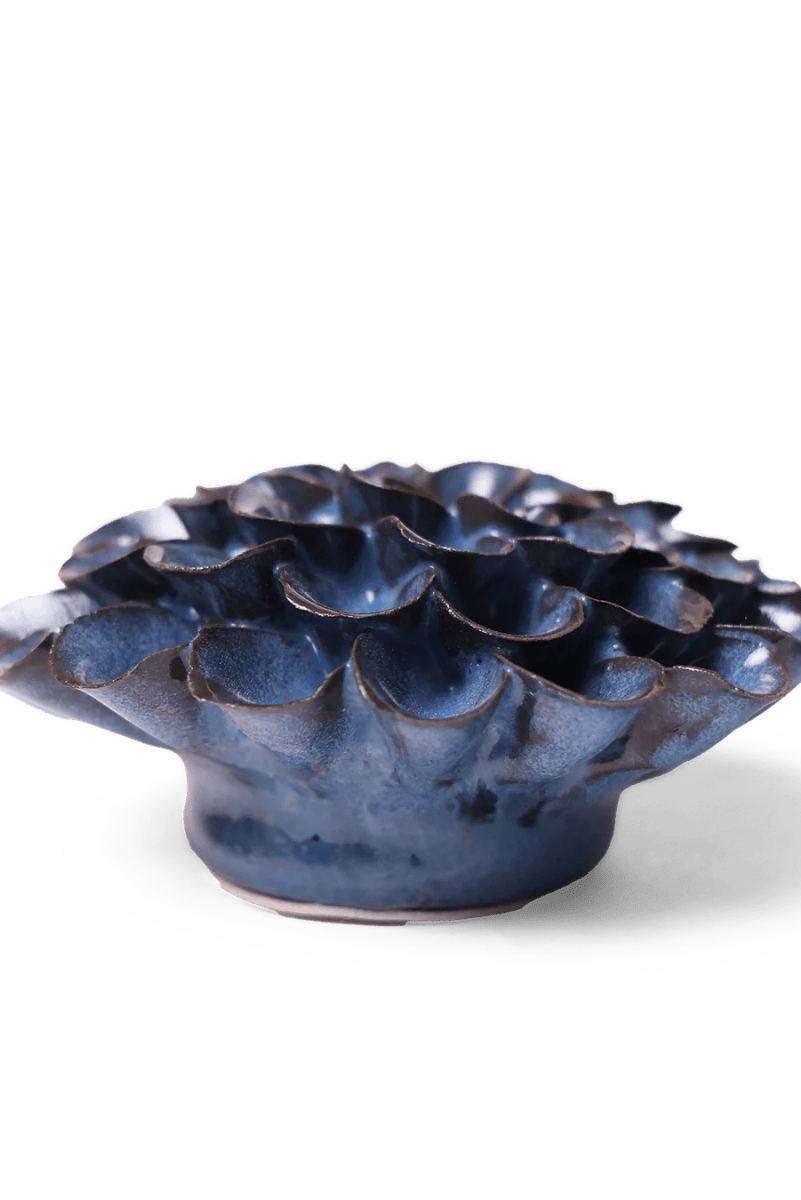 JA04 Blue Noir Pompon Dahlia - Chive US Wholesale