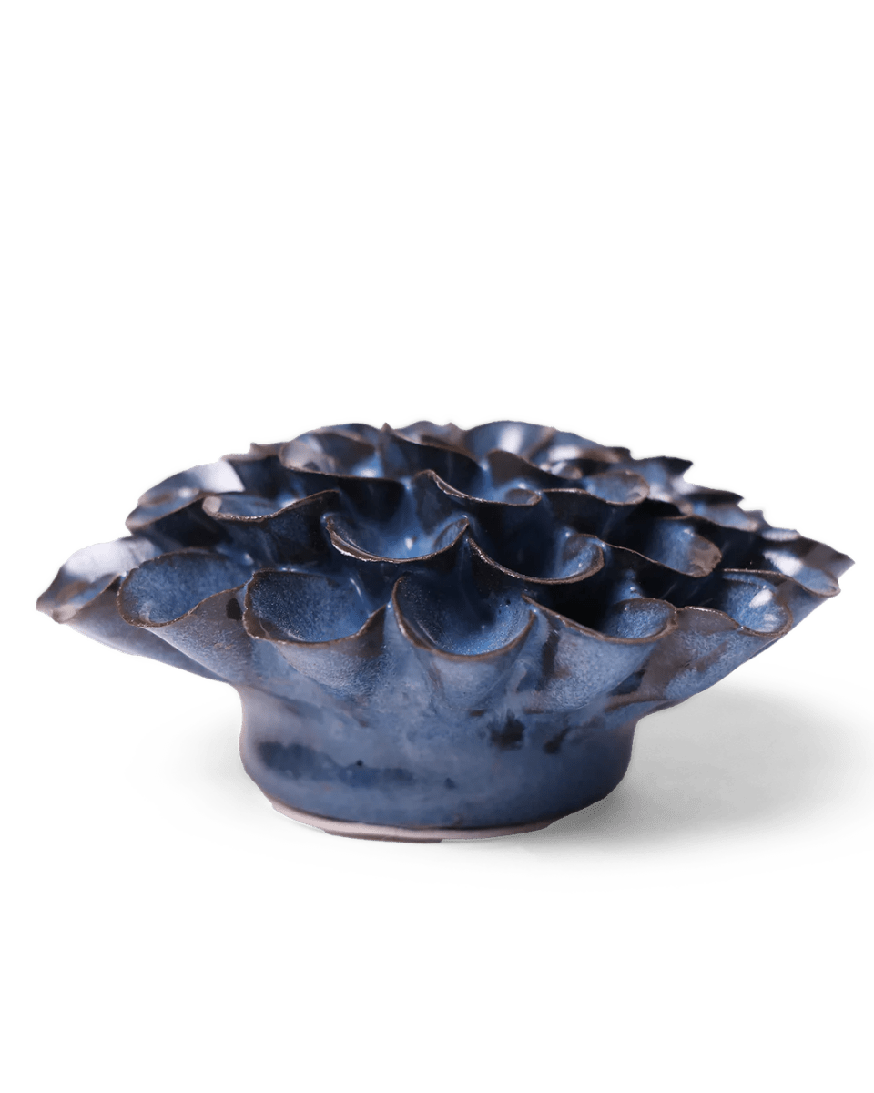 JA04 Blue Noir Pompon Dahlia - Chive US Wholesale
