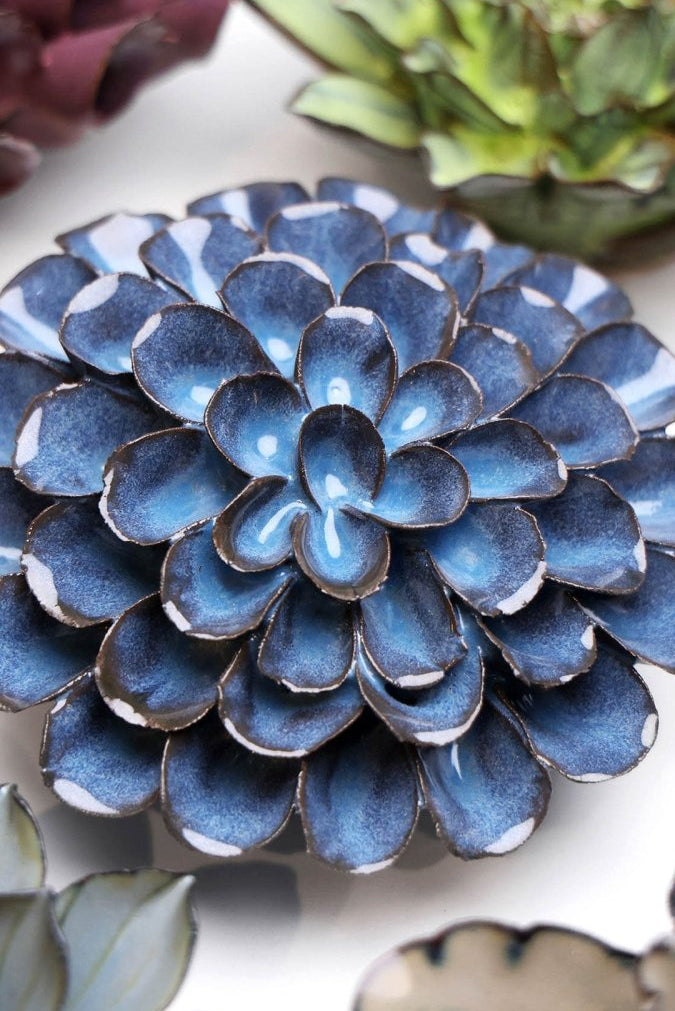 JA04 Blue Noir Pompon Dahlia - Chive US Wholesale
