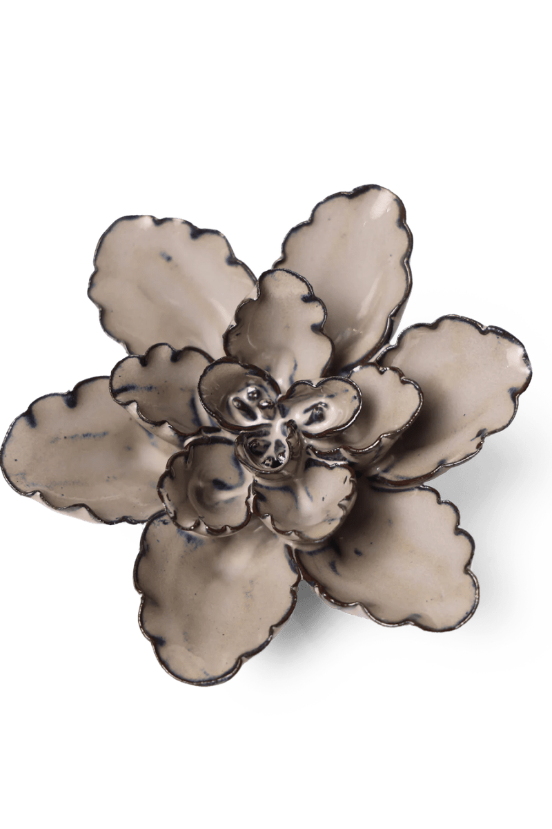 JA05 Latte Empress Lotus - Chive US Wholesale