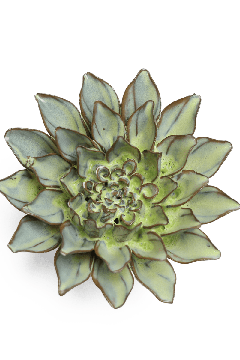 JA06 Pear Green Calico Aster - Chive US Wholesale