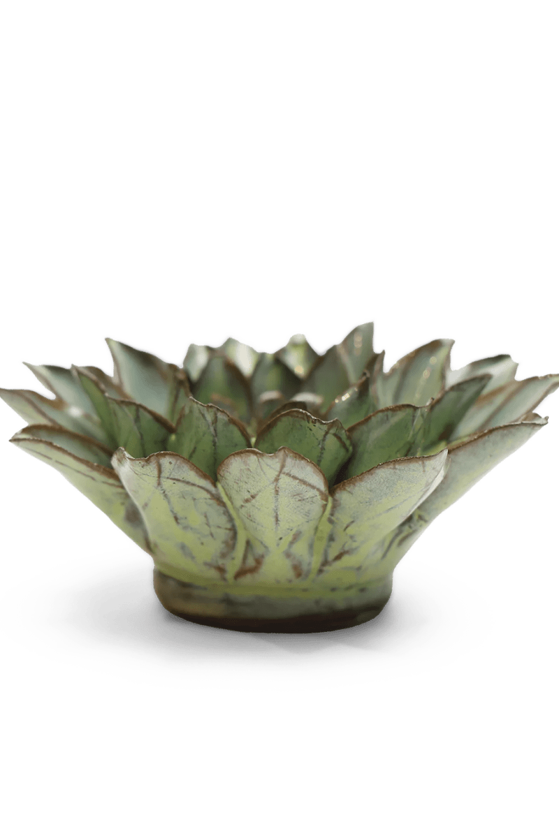 JA06 Pear Green Calico Aster - Chive US Wholesale
