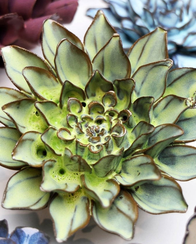 JA06 Pear Green Calico Aster - Chive US Wholesale