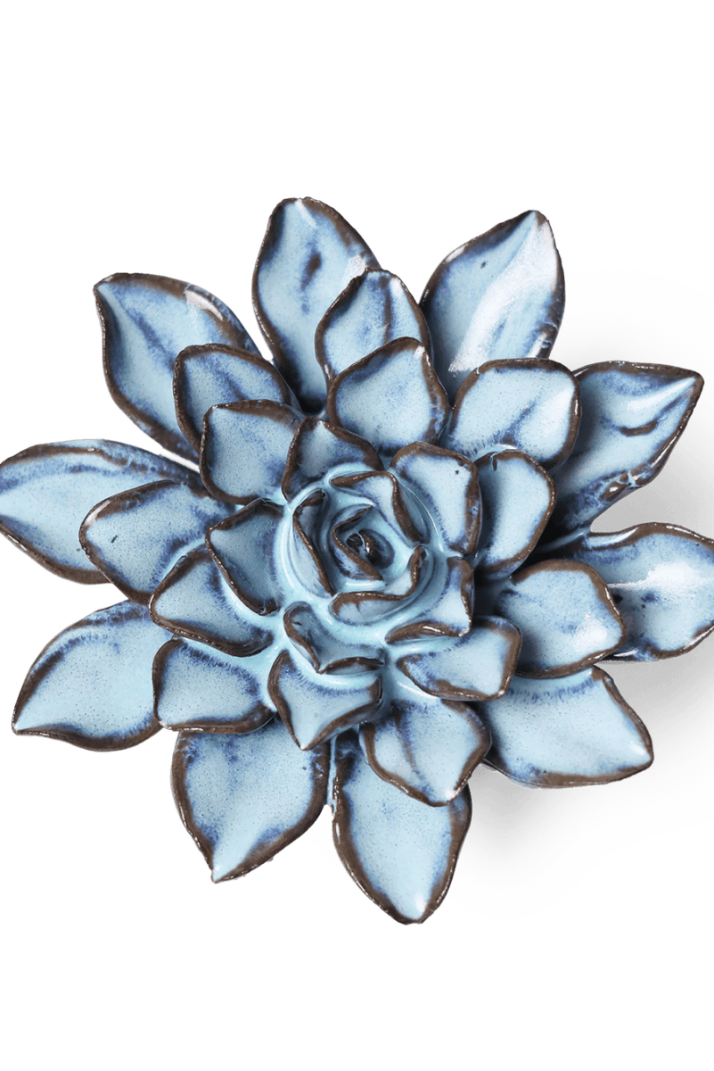 JA07 Seasonal Blue Alpine Aster - Chive US Wholesale