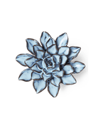 September Birth Flower - Aster - Chive US Wholesale