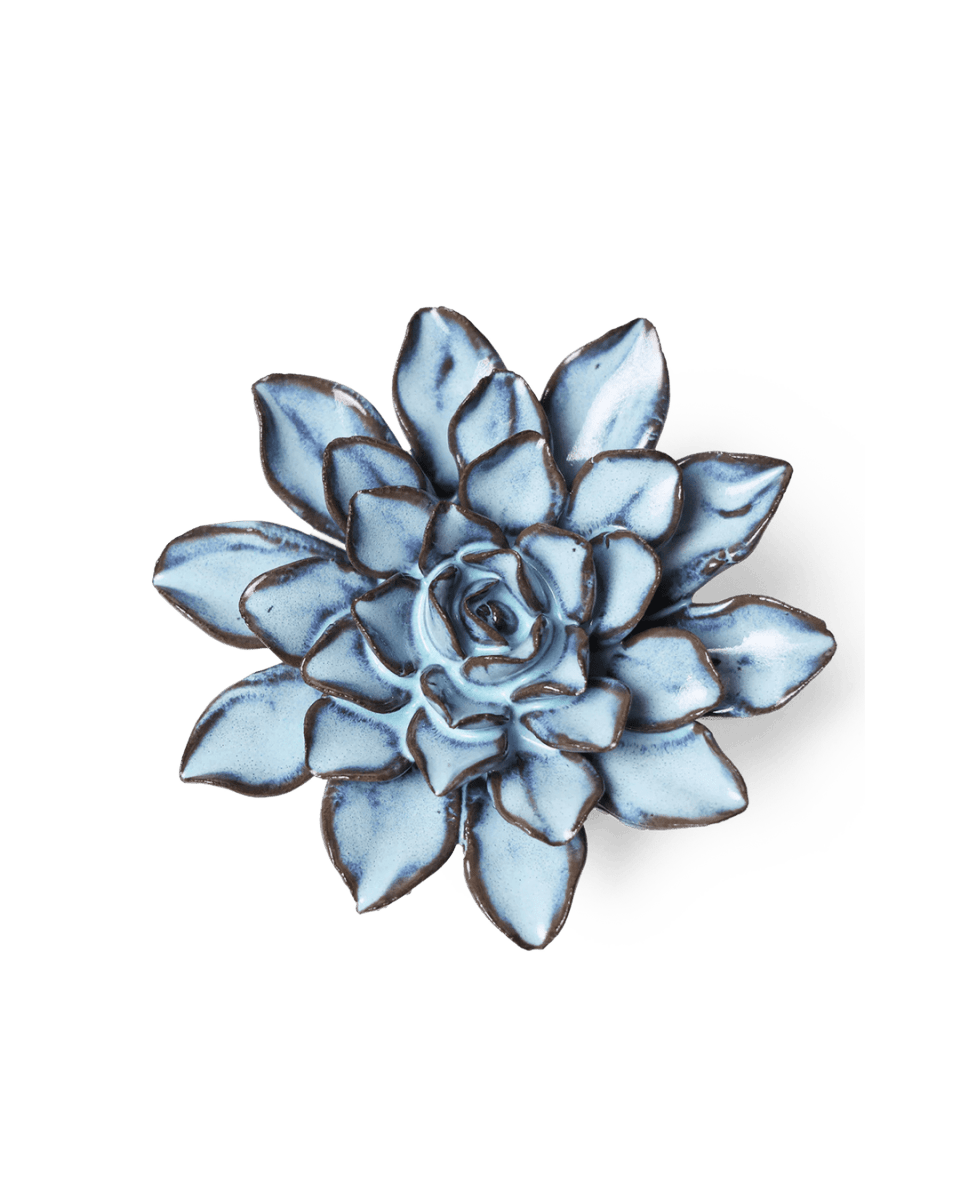 September Birth Flower - Aster - Chive US Wholesale