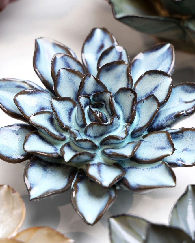 JA07 Seasonal Blue Alpine Aster - Chive US Wholesale