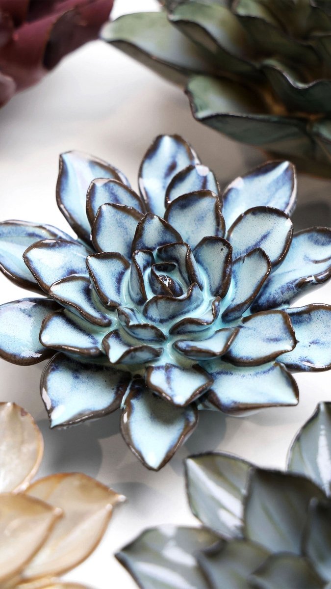 JA07 Seasonal Blue Alpine Aster - Chive US Wholesale