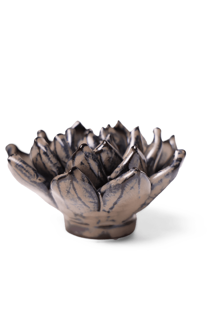 JA08 Latte Lola Echeveria - Chive US Wholesale