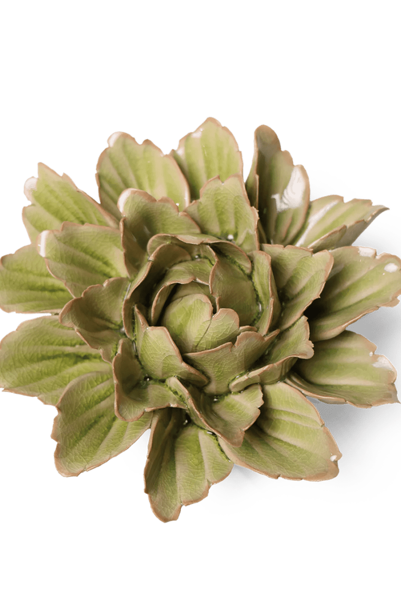 JA11 Peridot Sorbet Peony - Chive US Wholesale