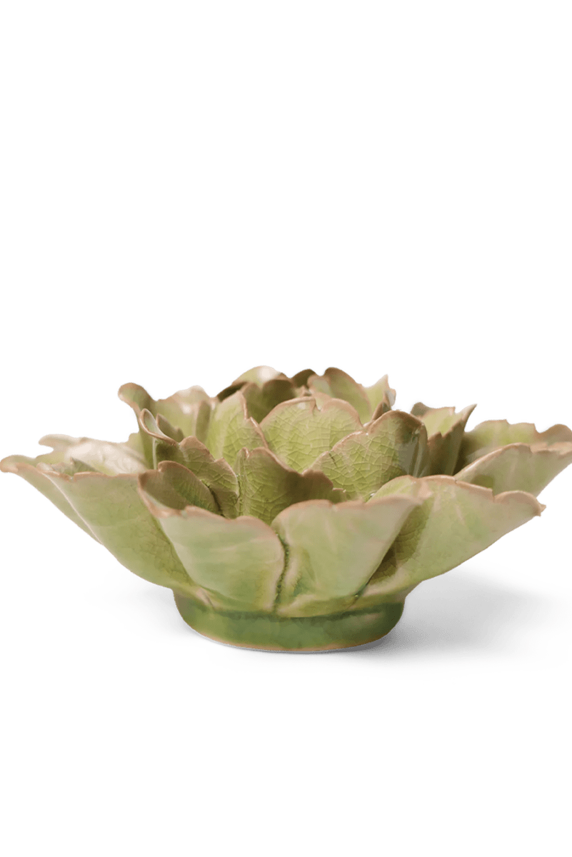 JA11 Peridot Sorbet Peony - Chive US Wholesale