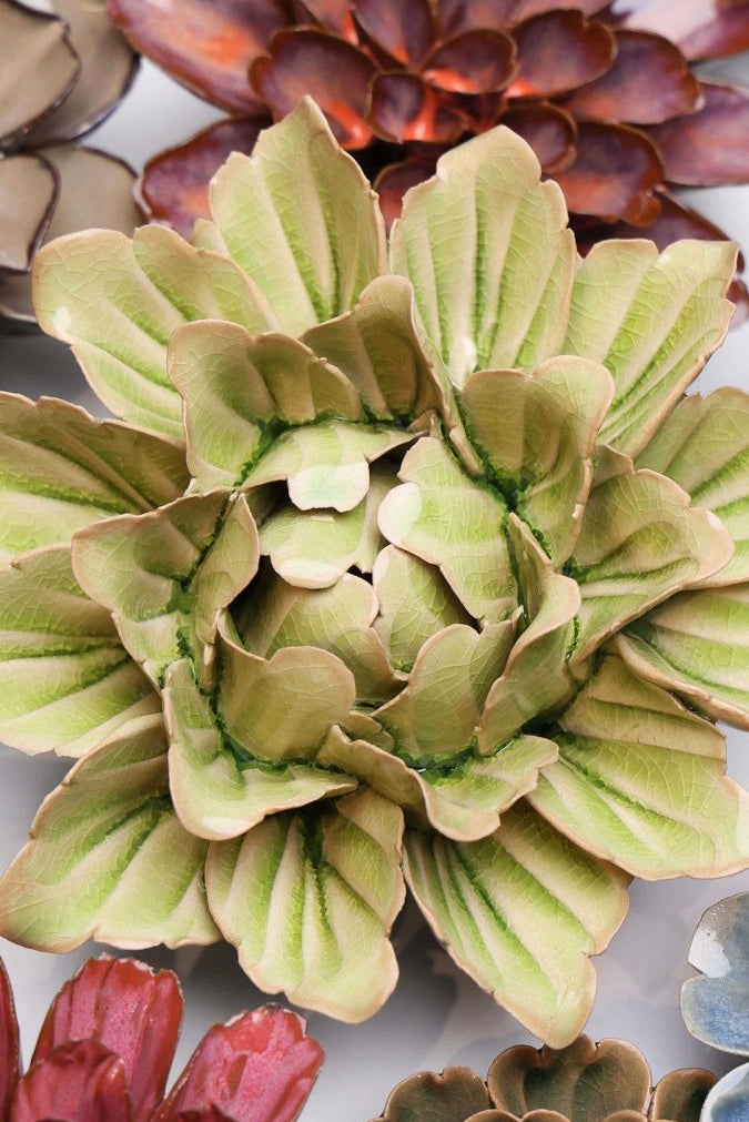 JA11 Peridot Sorbet Peony - Chive US Wholesale