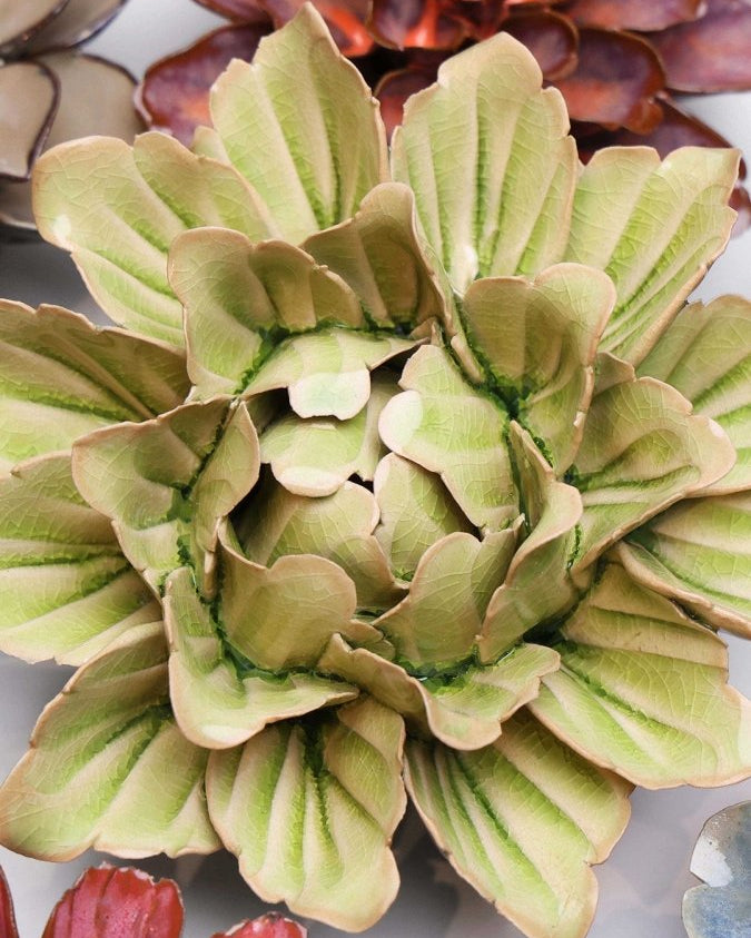 JA11 Peridot Sorbet Peony - Chive US Wholesale