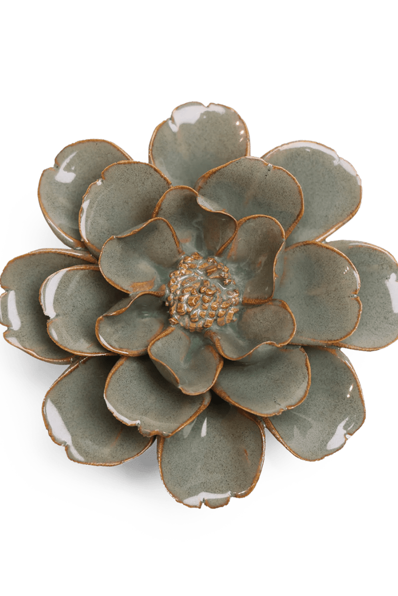 JA13 Moss Grey Oxeye Daisy - Chive US Wholesale