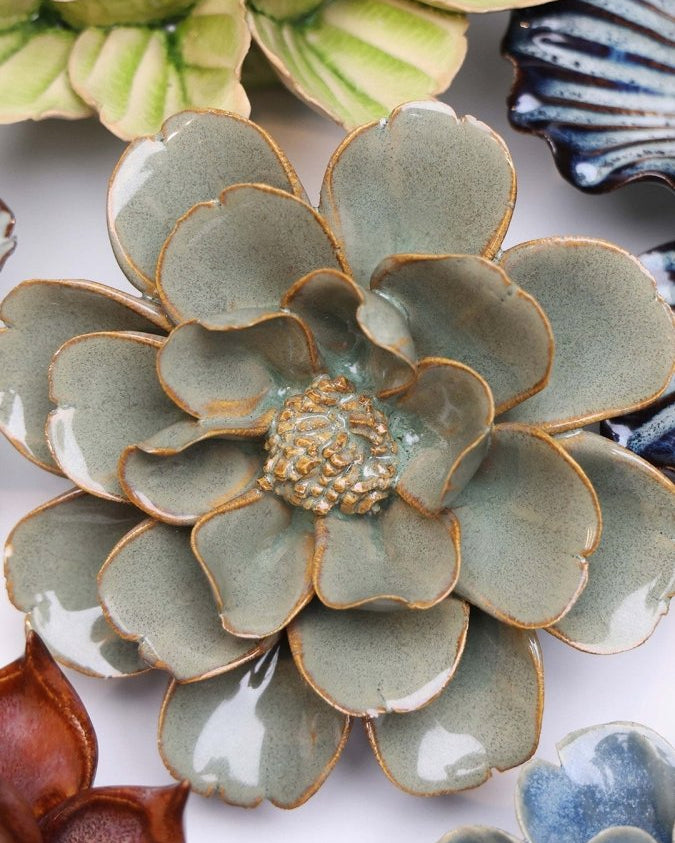 JA13 Moss Grey Oxeye Daisy - Chive US Wholesale