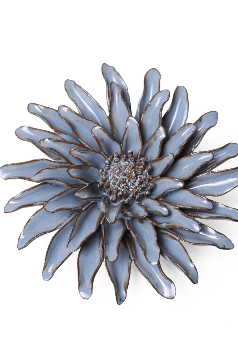 JA14 Blue Grey Gerbera Daisy - Chive US Wholesale