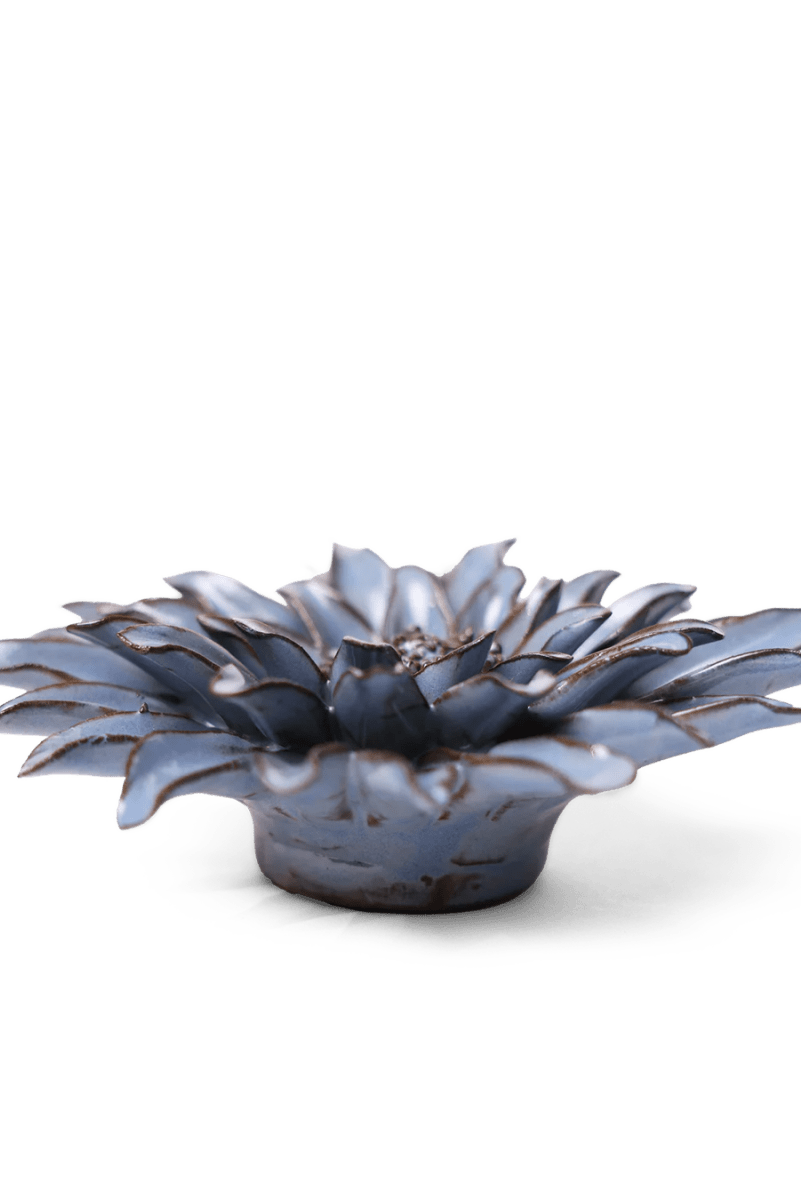 JA14 Blue Grey Gerbera Daisy - Chive US Wholesale