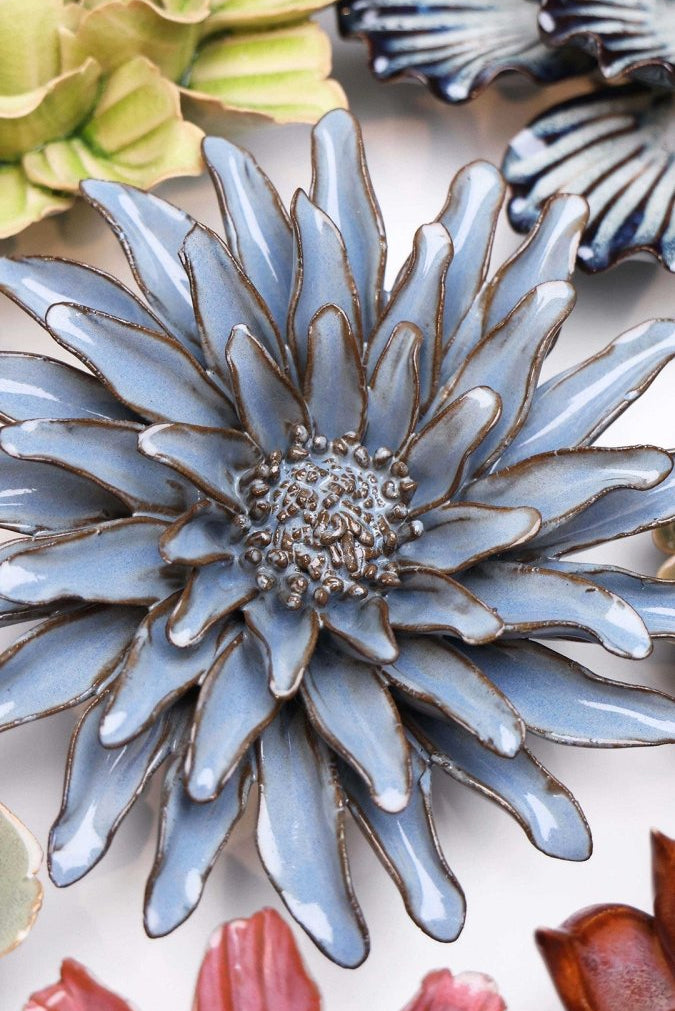 JA14 Blue Grey Gerbera Daisy - Chive US Wholesale