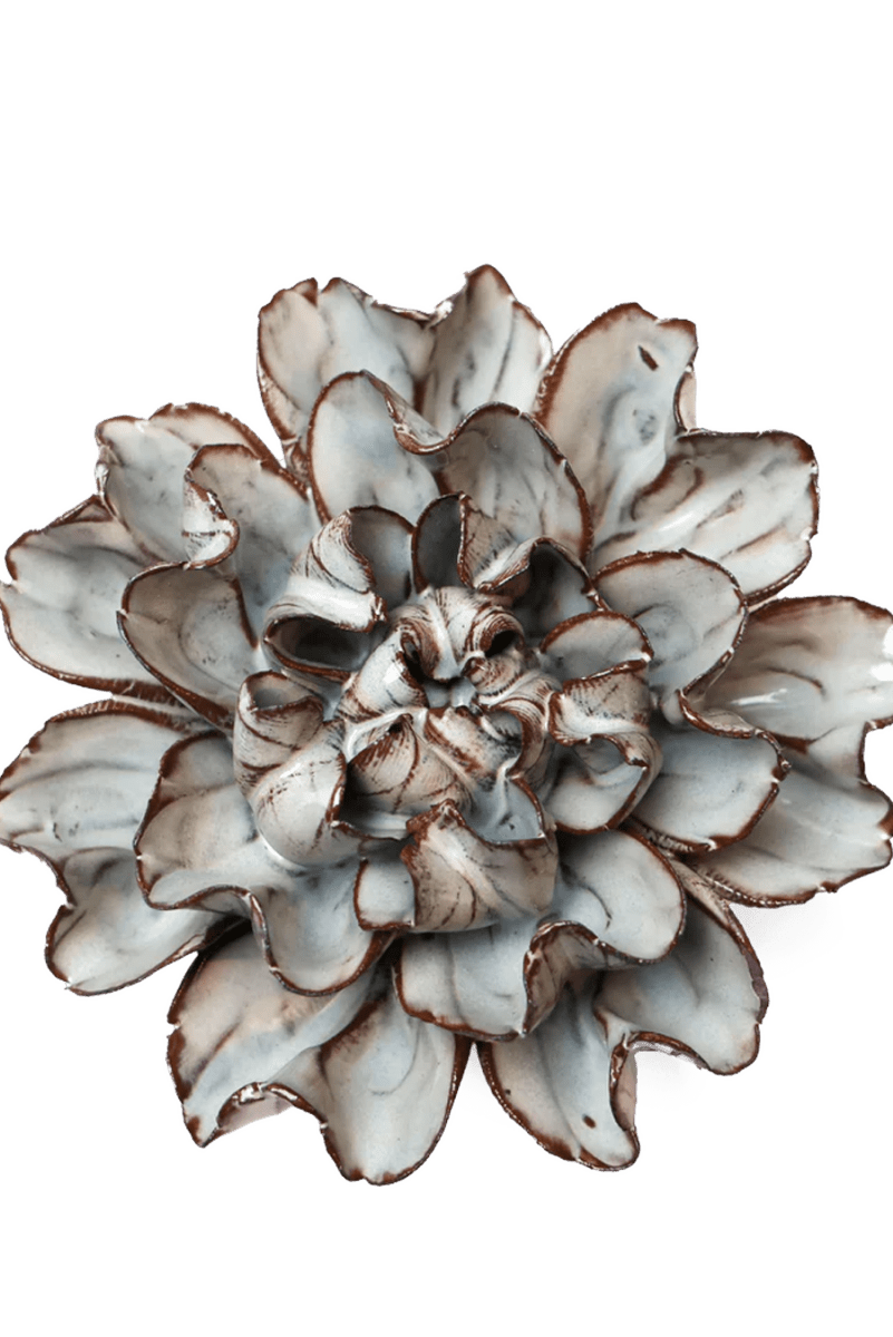 JA15 Chocolate Mint Echo Lisianthus - Chive US Wholesale