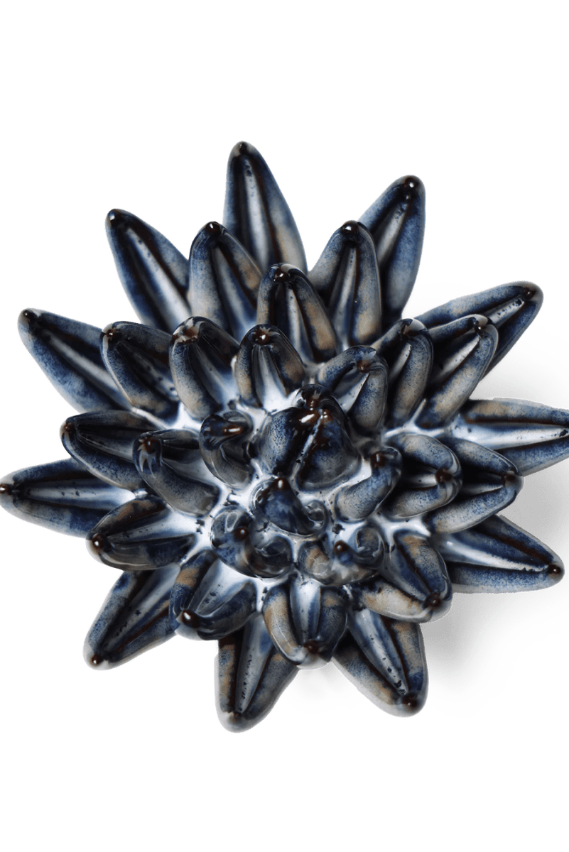 JA16 Navy Blue Chalksticks Succulent - Chive US Wholesale