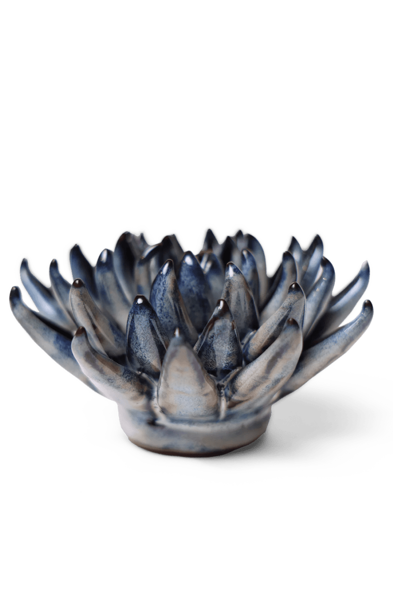 JA16 Navy Blue Chalksticks Succulent - Chive US Wholesale