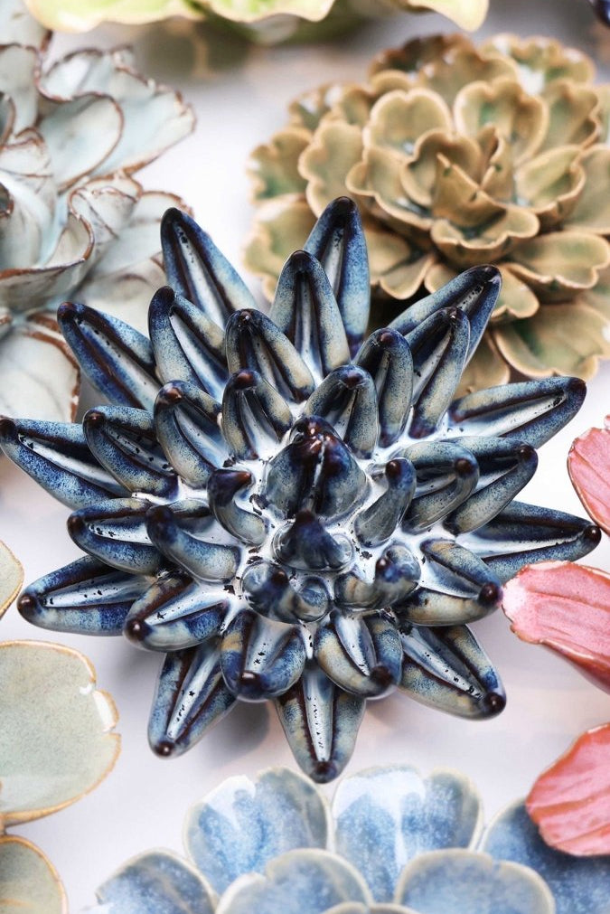JA16 Navy Blue Chalksticks Succulent - Chive US Wholesale