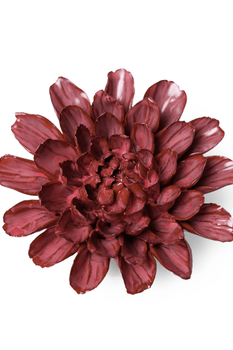 JA17 Blush Pink Star Dahlia - Chive US Wholesale