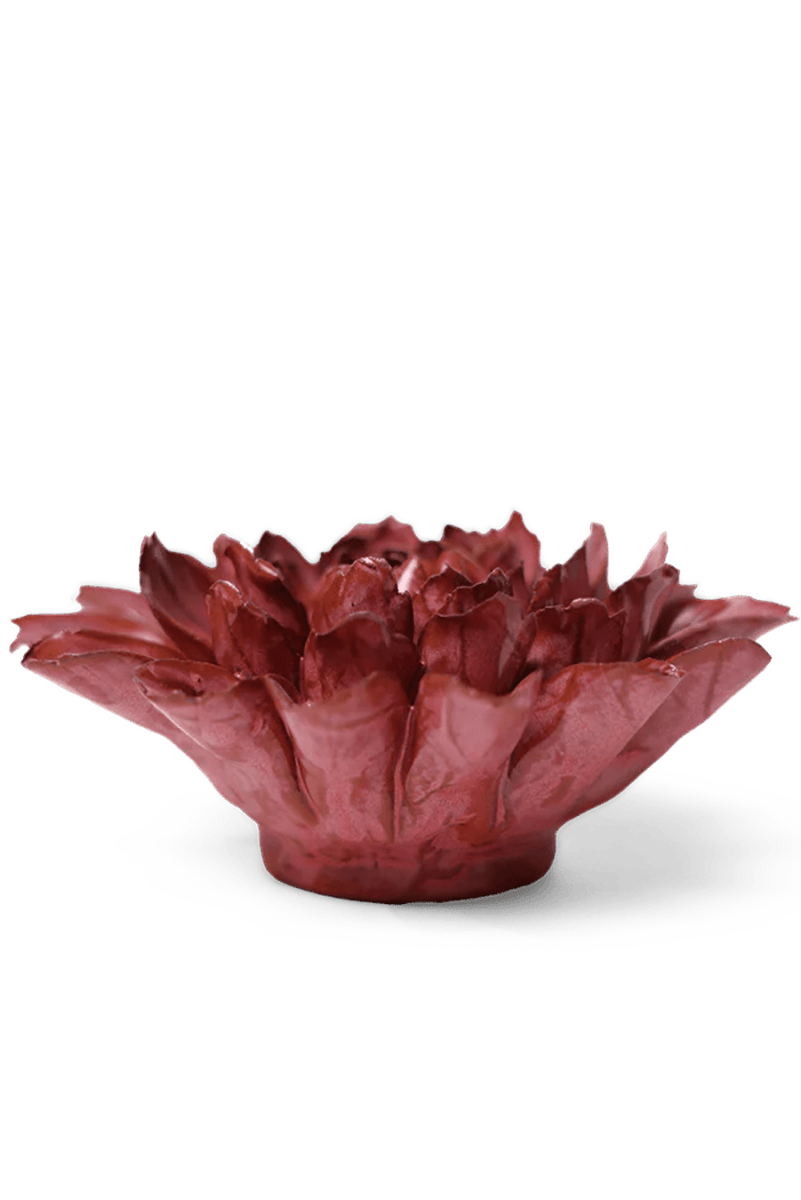 JA17 Blush Pink Star Dahlia - Chive US Wholesale