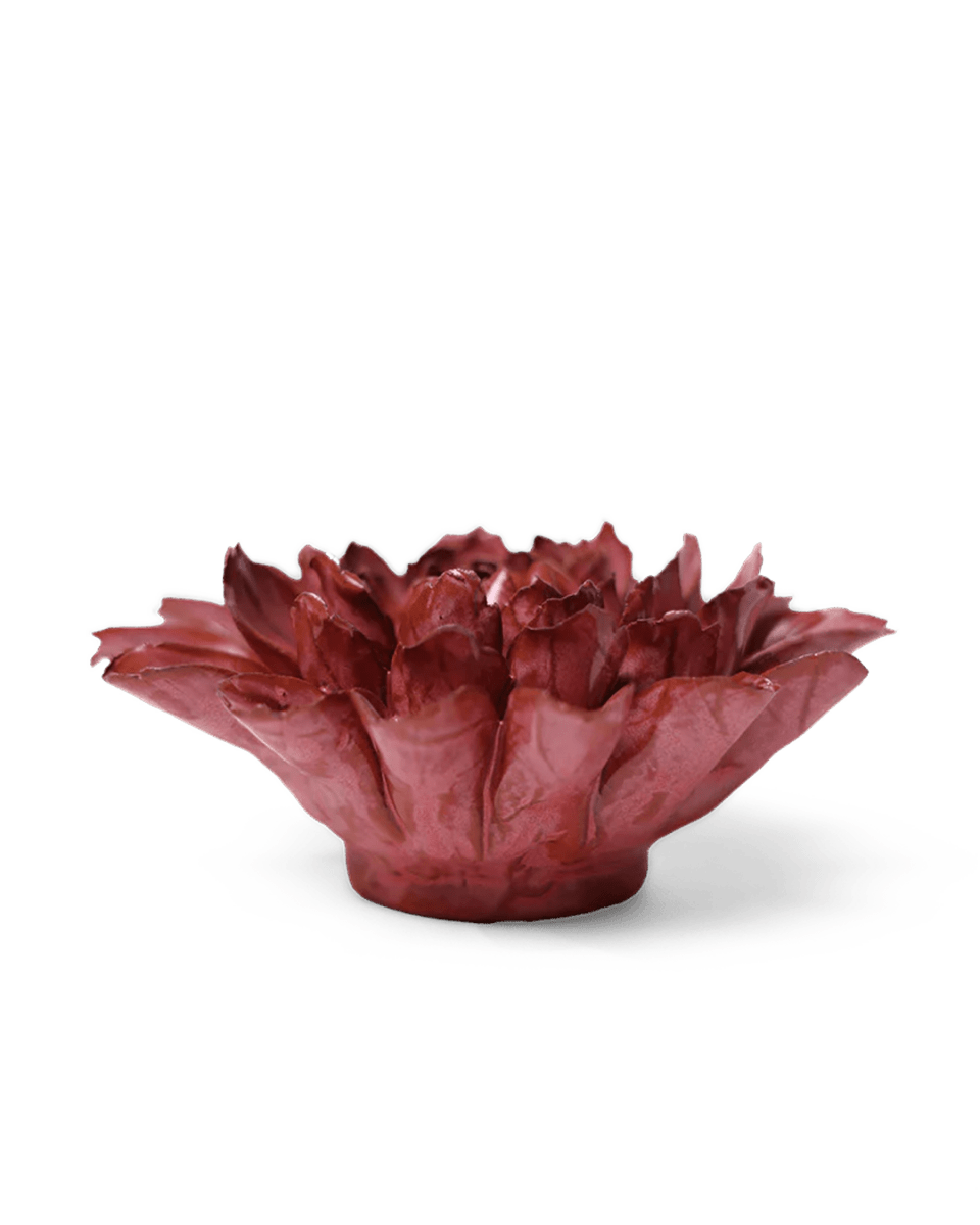 JA17 Blush Pink Star Dahlia - Chive US Wholesale