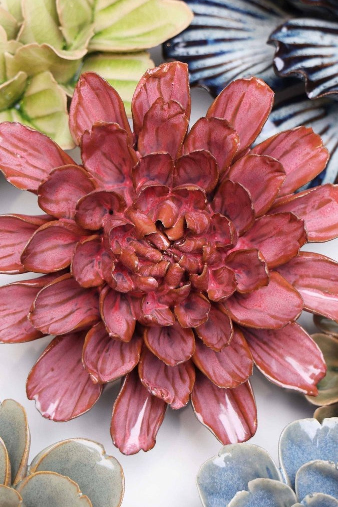 JA17 Blush Pink Star Dahlia - Chive US Wholesale