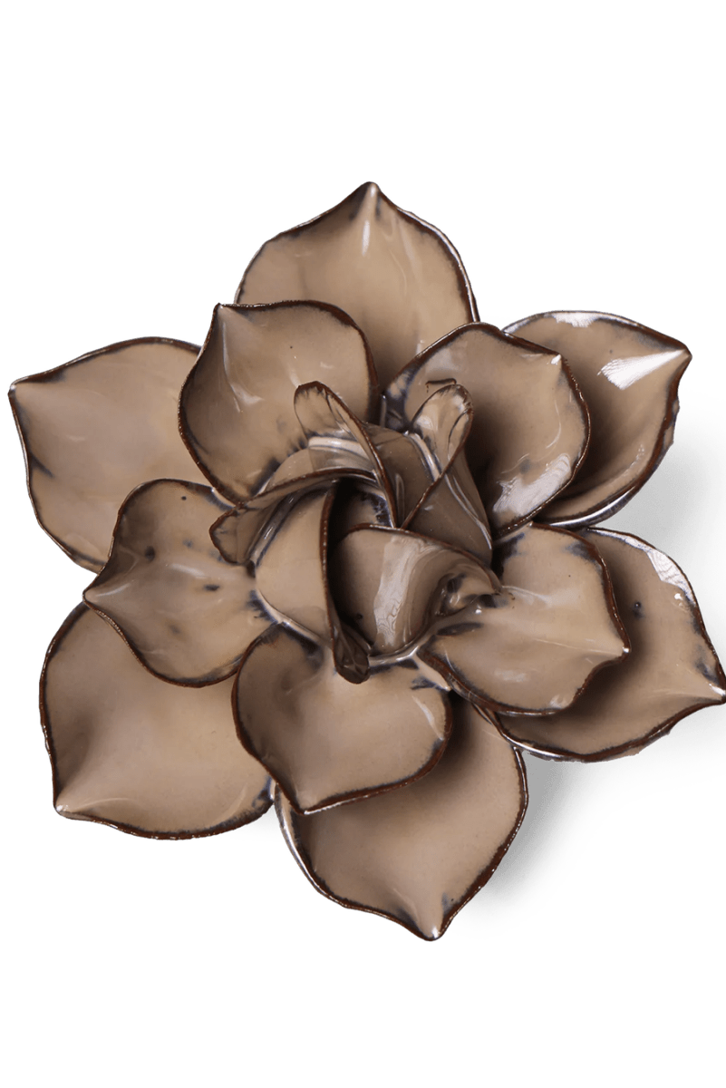 JA18 Latte Daffodil - Chive US Wholesale