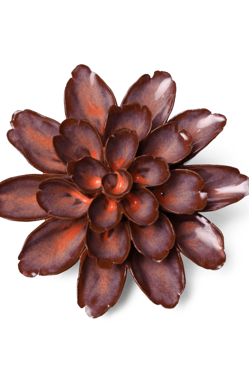 JA19 Peach Mocha Cornflower - Chive US Wholesale