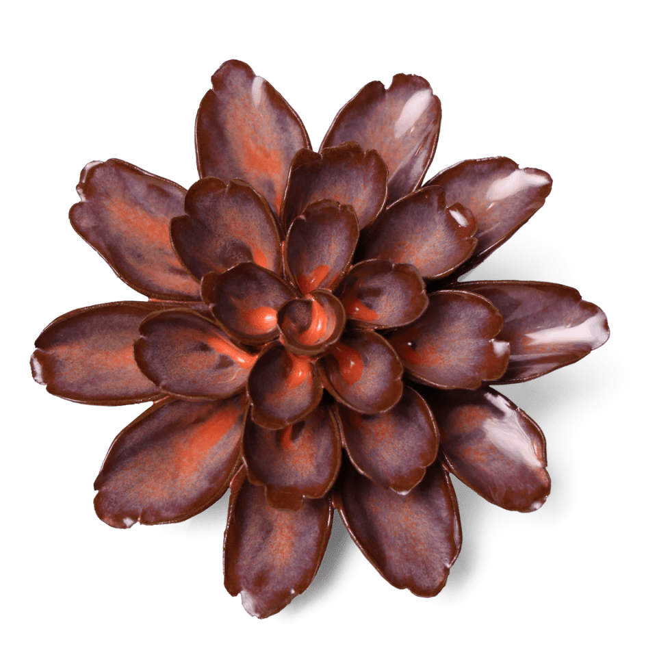 JA19 Peach Mocha Cornflower - Chive US Wholesale